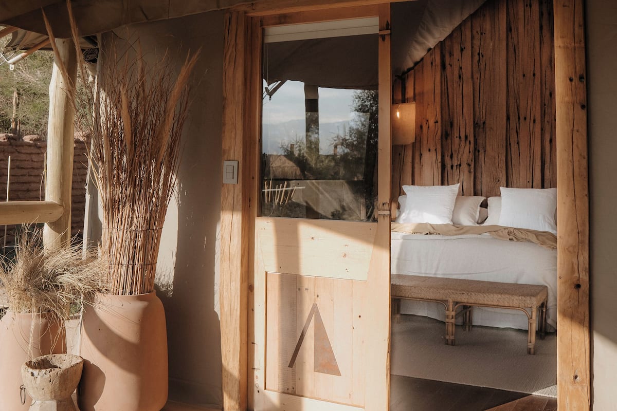 A wooden interior with a bed, a bench, and potted plants.