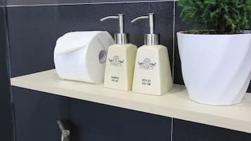 Ducha, secador de pelo, pantuflas, toallas
