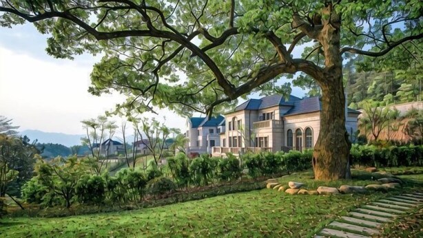 Una casa con un gran árbol, un camino de piedra y un jardín bien cuidado.