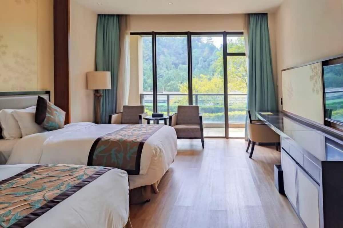 Camera d'albergo con un letto grande, una scrivania, una sedia, una TV e un balcone con vista sugli alberi.