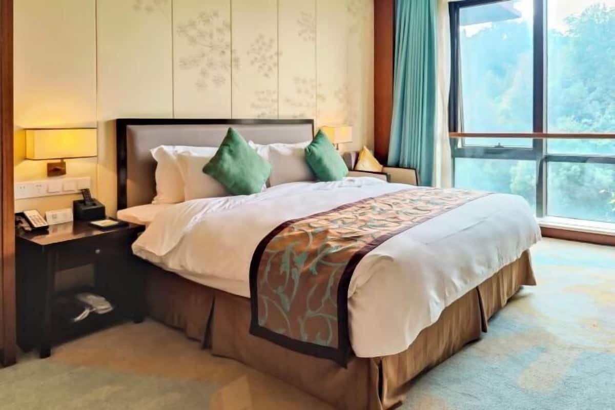 Camera d'albergo con un letto grande, un comodino, una lampada e una finestra vista alberi.