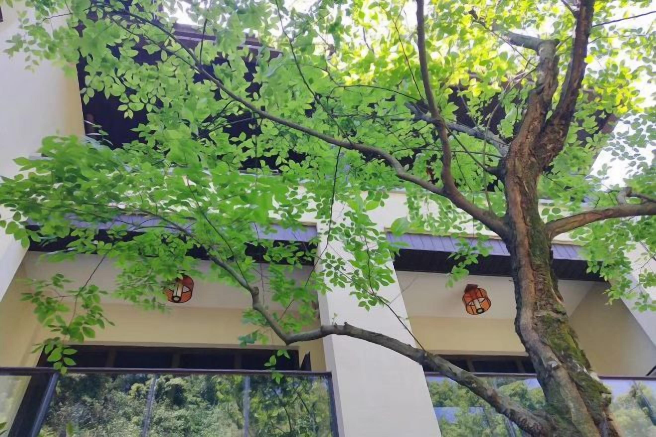 Un edificio con un árbol en primer plano, ventanas y una puerta.