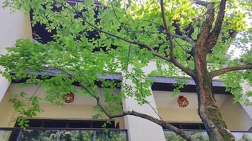 Un edificio con un árbol en primer plano, ventanas y una puerta.