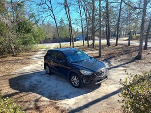 Property grounds - Charming 1-bedroom House 2 miles from Downtown Lexington - The Owlhouse (Lexington)