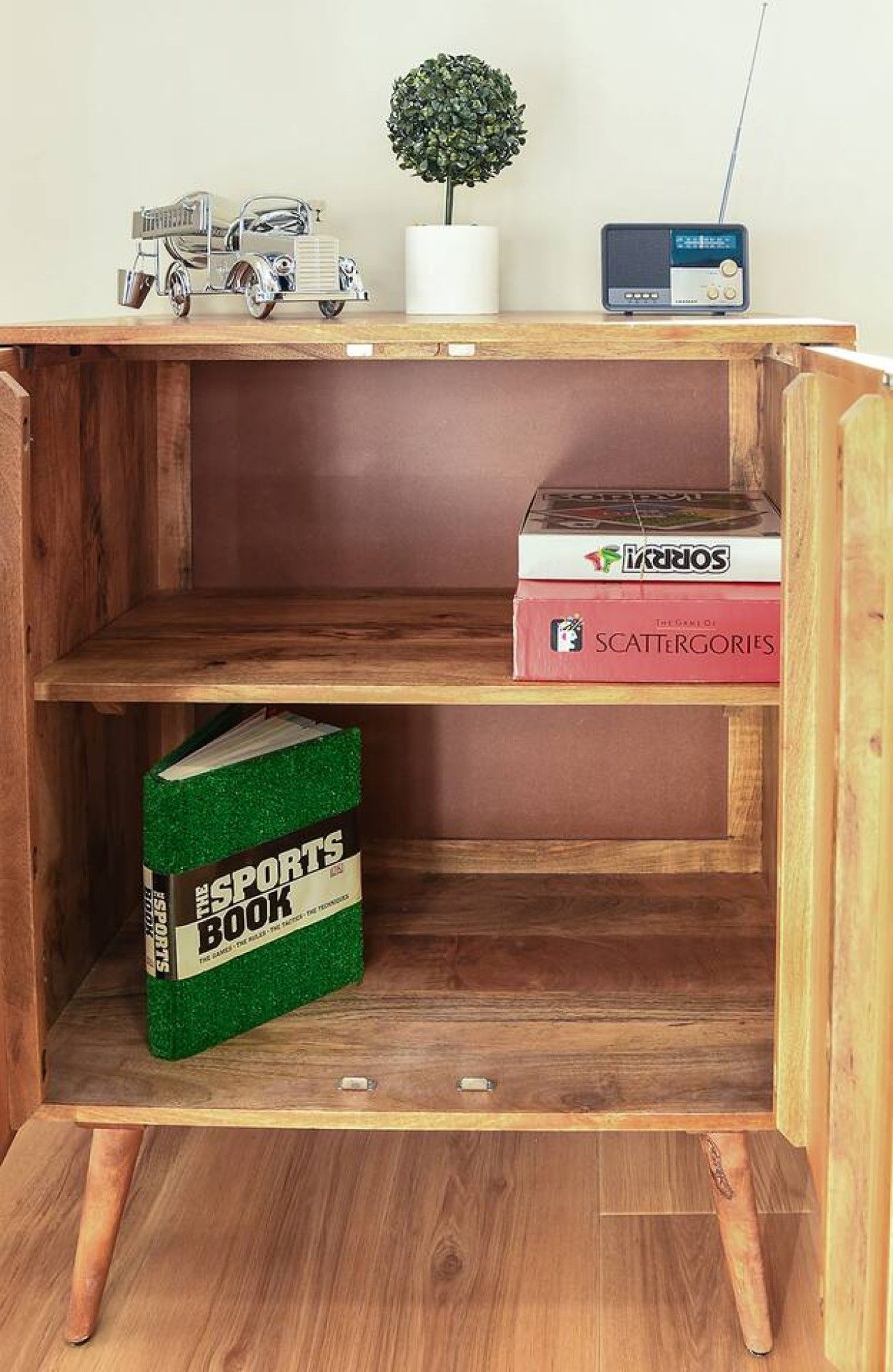 A wooden shelf unit with a radio, a small plant, and books.