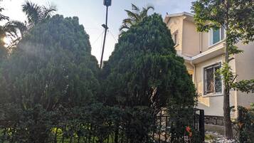 Una zona residencial con una casa, abundante vegetación y un farol.