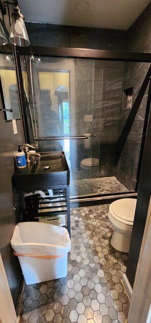 Shower, towels, toilet paper