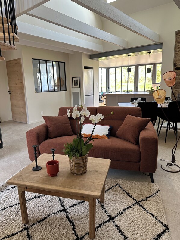 TV, fireplace, books