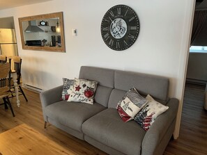Smart TV, fireplace, DVD player, books