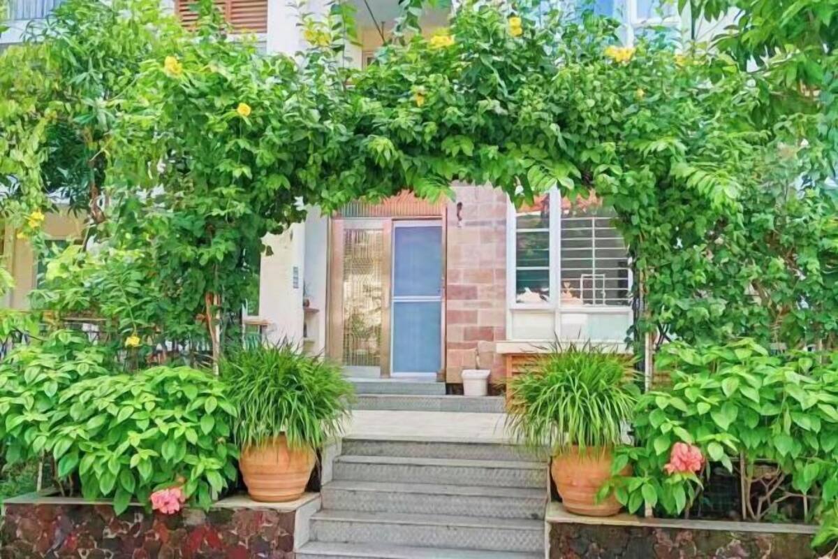 A staircase leading to a building entrance, flanked by potted plants and greenery.