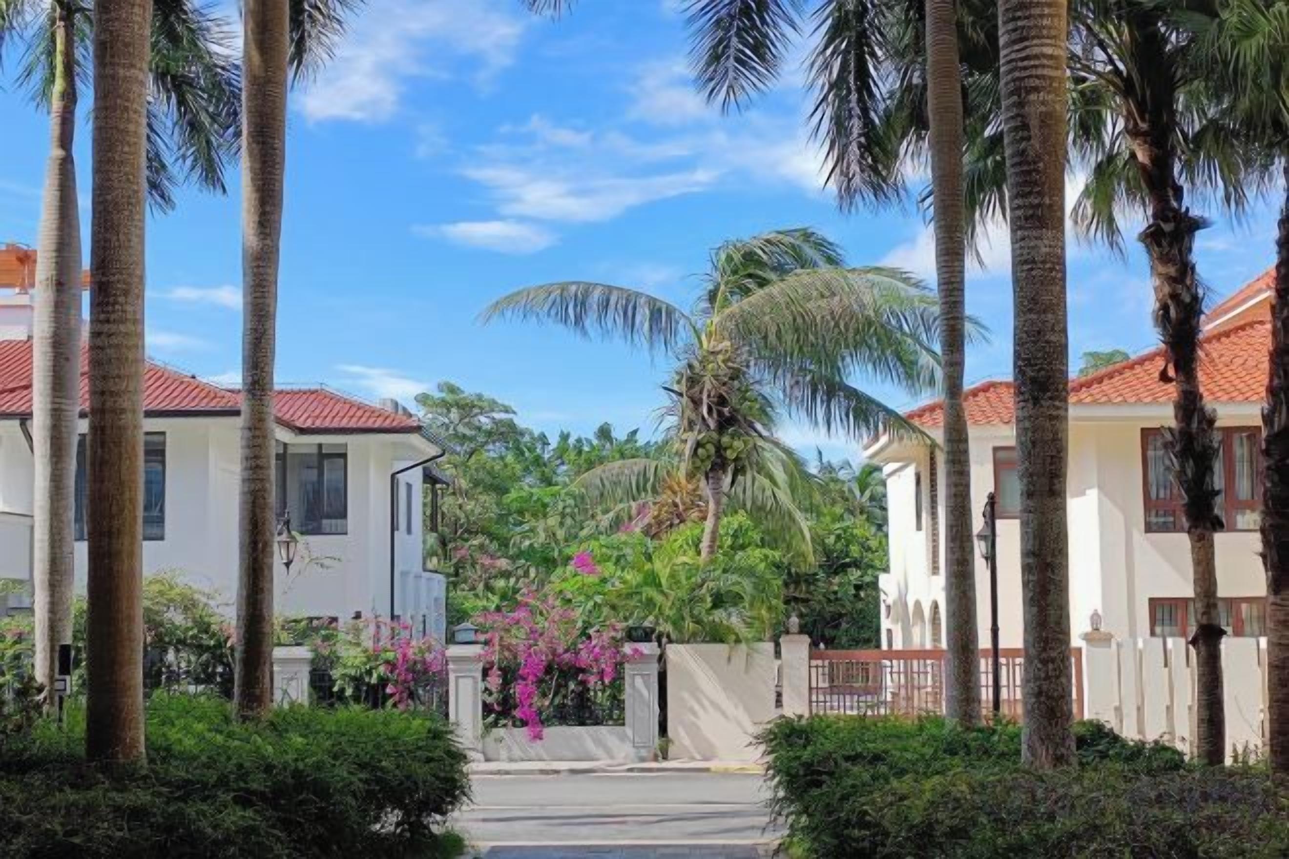 A residential area with houses, palm trees, and a clear sky.
