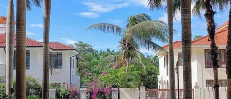 A residential area with houses, palm trees, and a clear sky.