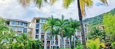 A multi-story hotel with balconies, surrounded by palm trees and a pool area.