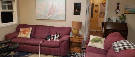 Smart TV, reproductor de DVD, libros, videoteca