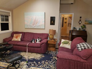 Smart-tv, dvd-afspiller, bøger, videobibliotek