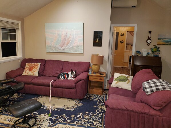 Smart TV, DVD player, books, video library