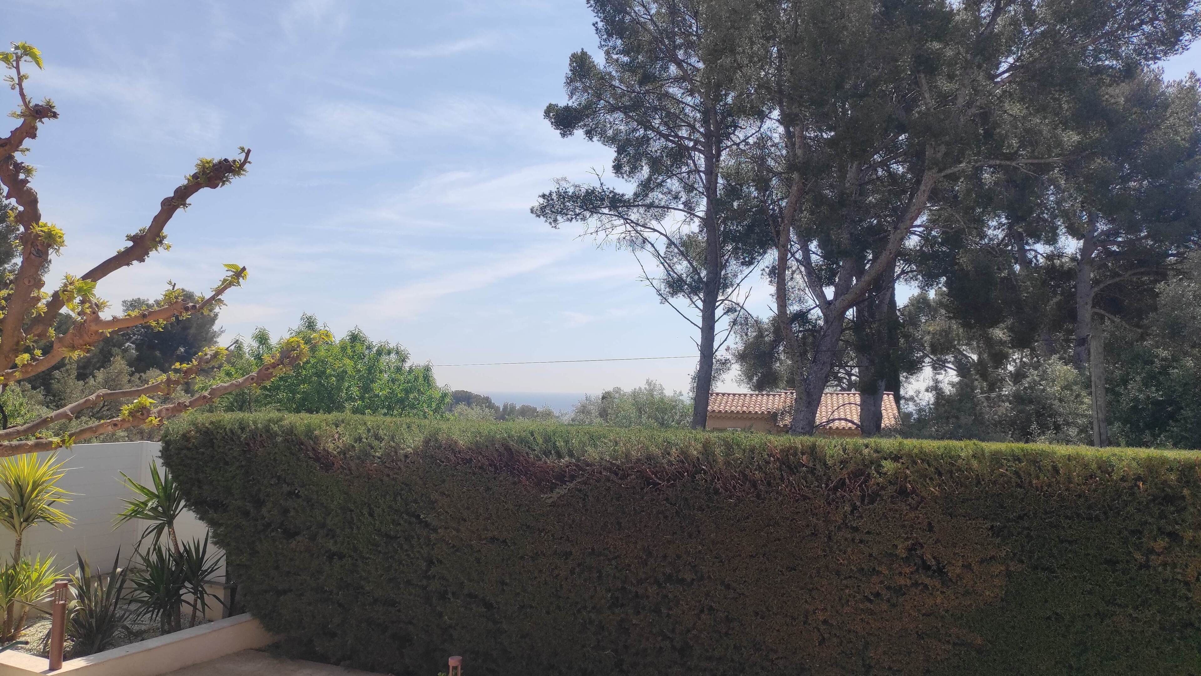 A landscaped garden with a neatly trimmed hedge, a variety of trees, and a distant view of a building with a tiled roof.