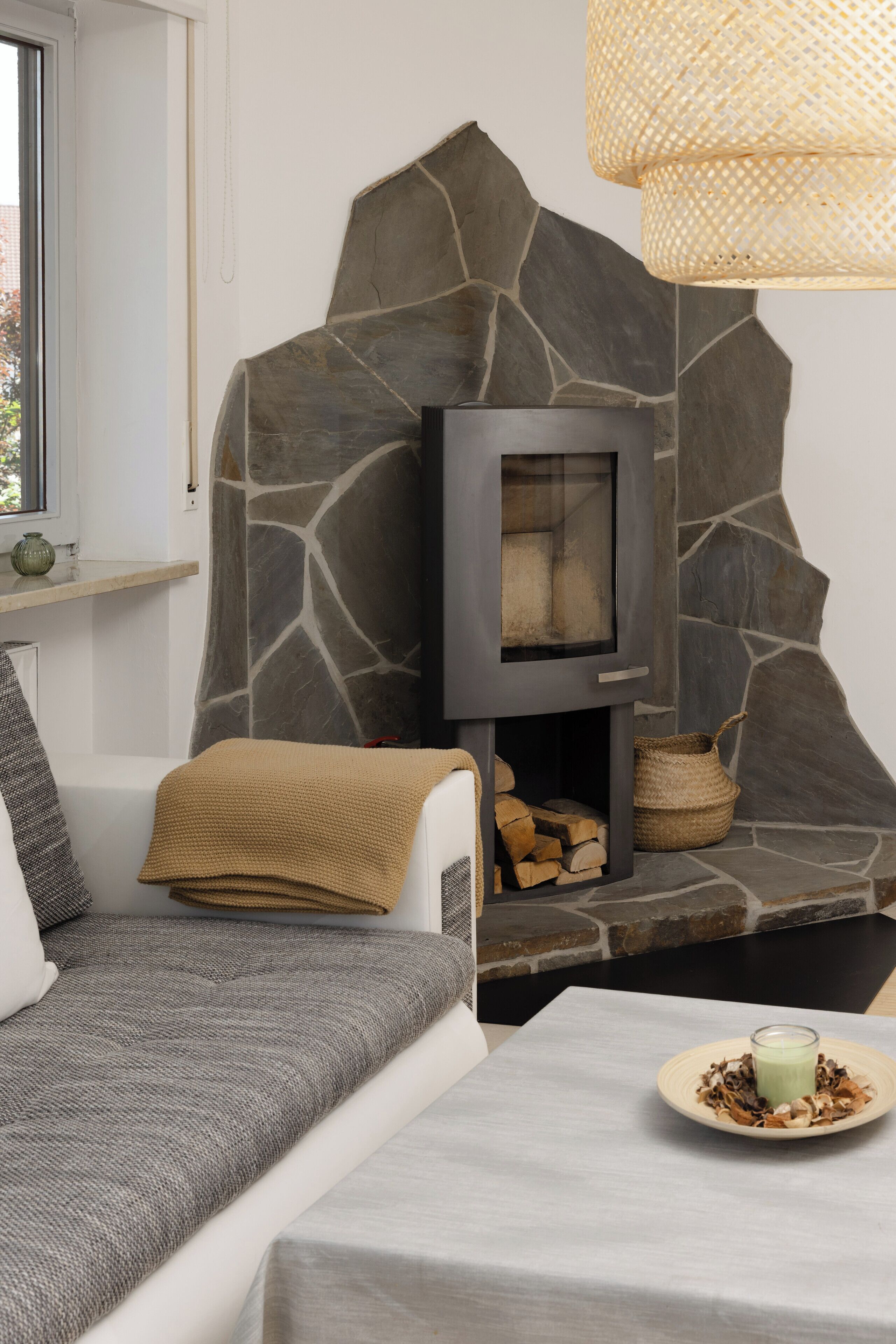 Televisor, llar de foc i llibres 