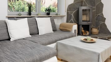 TV, fireplace, books