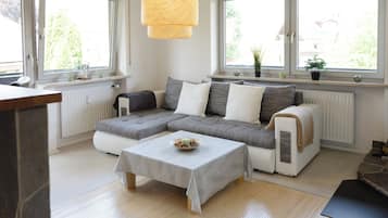 TV, fireplace, books