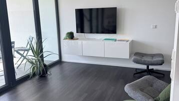 Fernseher