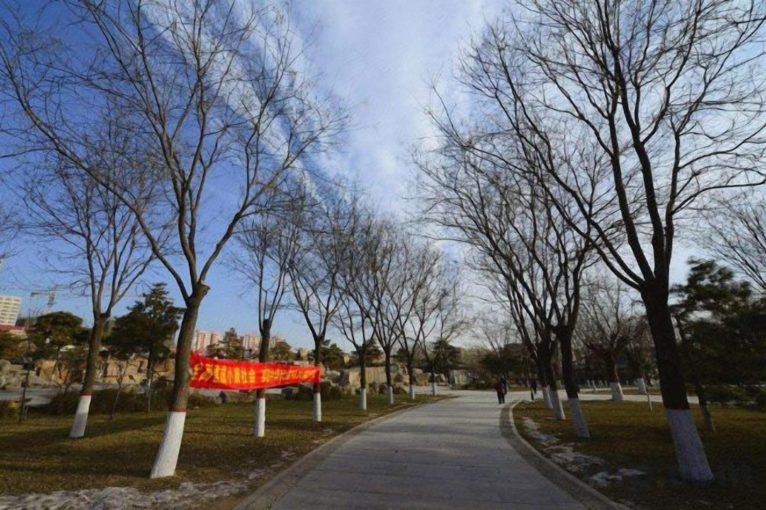 A pathway lined with leafless trees and a red banner.