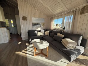 智能電視、壁爐、DVD 播放機、音響