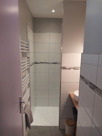 Hair dryer, towels, soap, toilet paper. Apartment n°2 Clos saint Genest