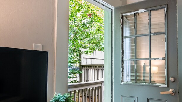 A room with a television on a wooden stand, a door with a window, and a potted plant.