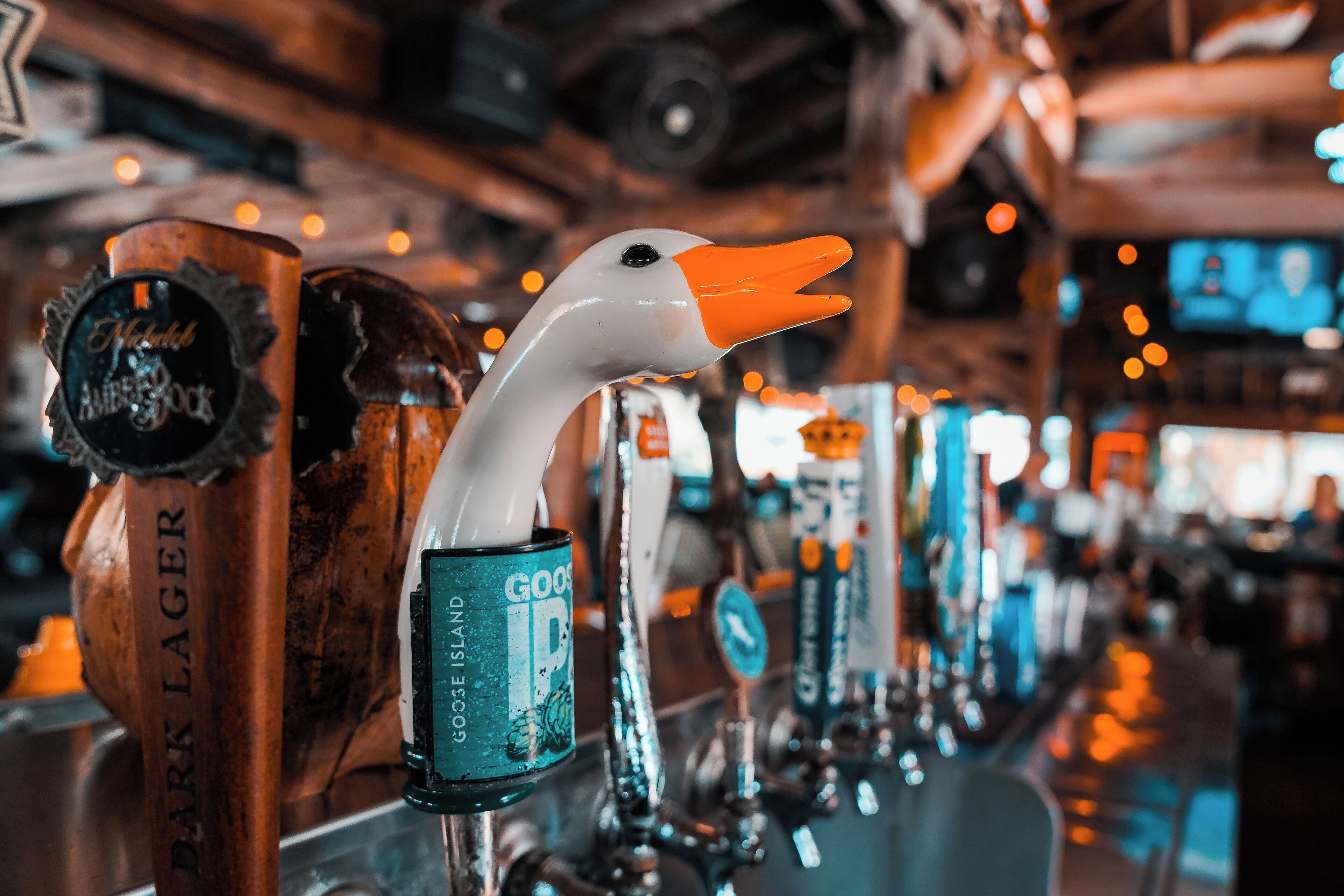 A bar with taps labeled 'Dark Lager' and 'Goose Island'.