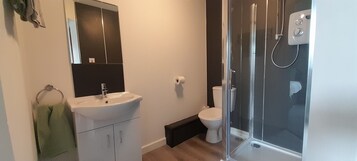 Habitación individual | Baño | Secador de pelo y toallas