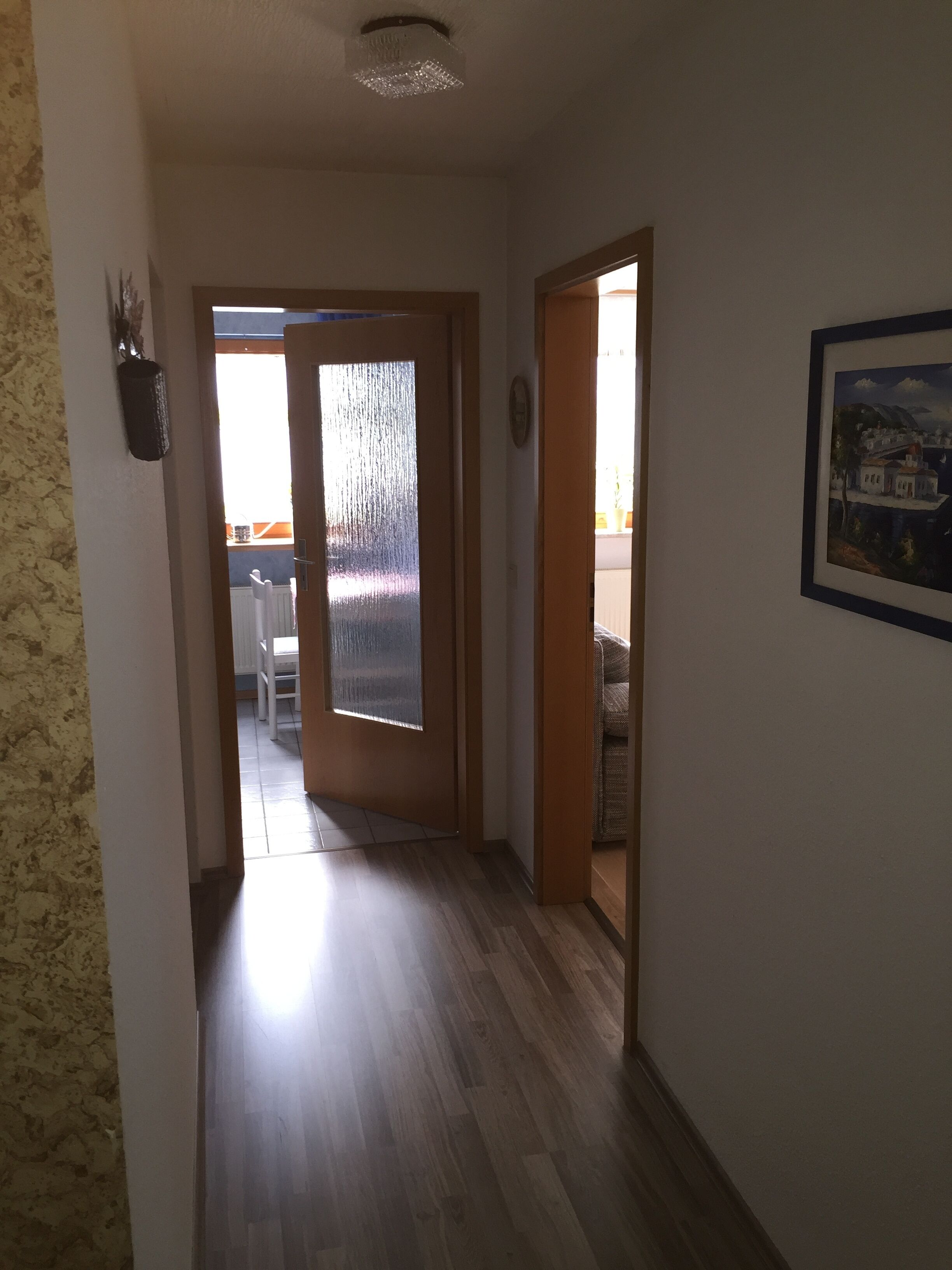 Un couloir doté d’un plancher en bois, une porte en verre donnant sur une pièce et un tableau encadré accroché au mur.