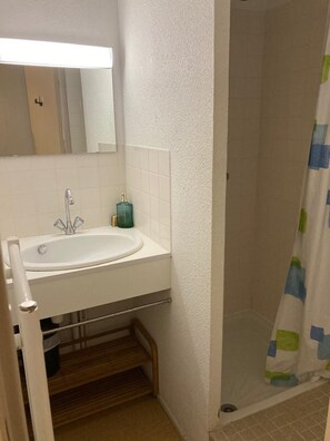 Shower, hair dryer, toilet paper