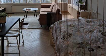 Studio NYC dans le centre d'Oslo