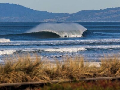 The Surf Shack - Beachfront urban Oasis, Hot Tub