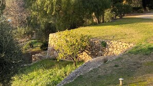 Ett grönområde med stenmurar och träd, troligen en del av en trädgård eller park.