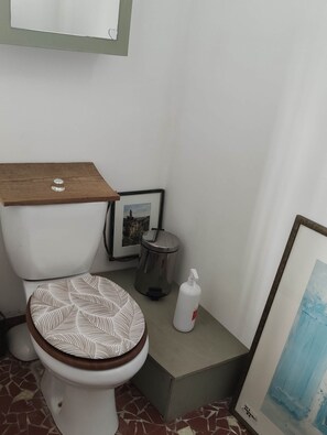 Séchoir à cheveux, serviettes fournies, savon, papier de toilette