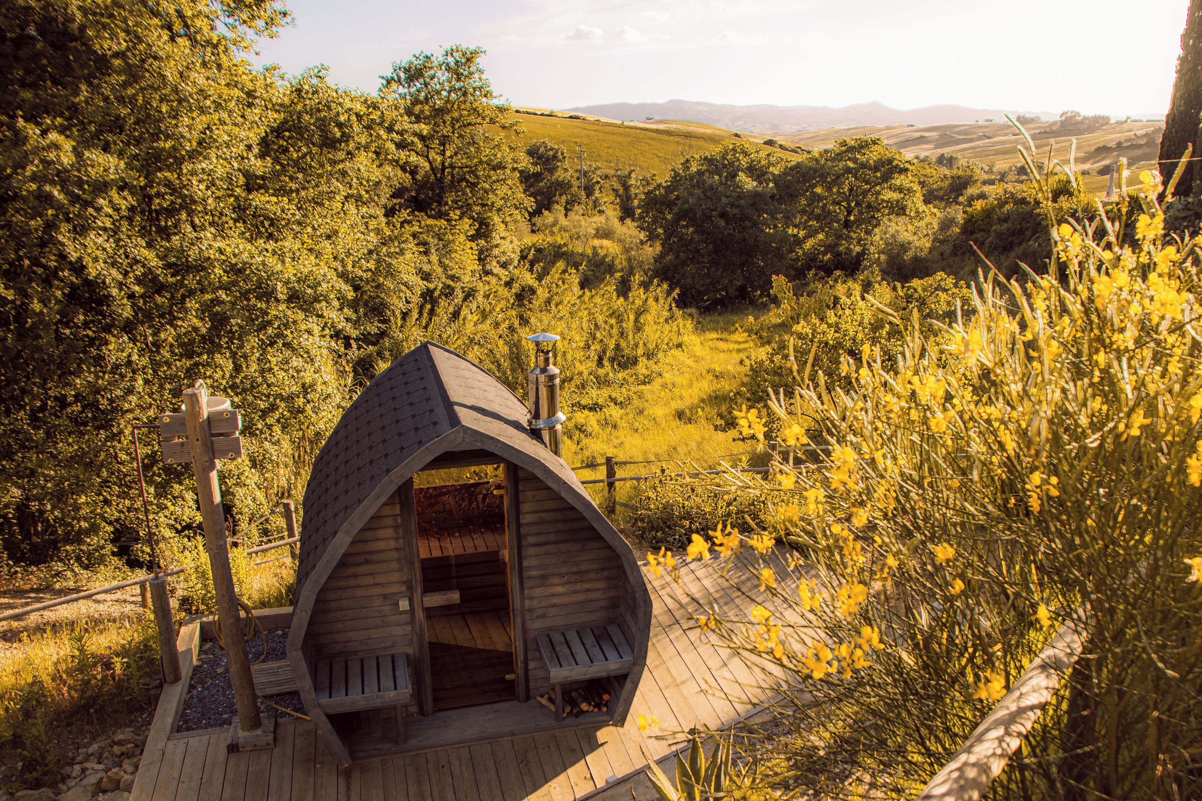 المنطقة المحيطة بالمنشأة