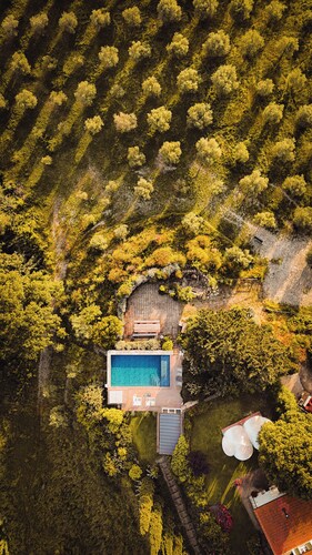 Boutique eco Agriturismo nestled among ancient olive trees and stunning Tuscan hills