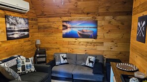 TV connectée, cheminée, lecteur de DVD, livres