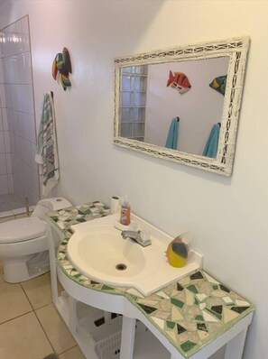 Regadera, toallas, jabón, papel de baño