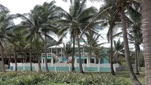 Un edificio con fachada verde y blanca, rodeado de palmeras y un césped bien cuidado.