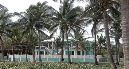 A Little Piece of Paradise!