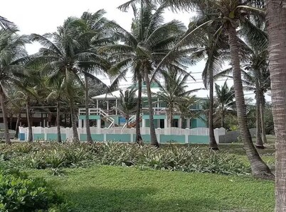 A Little Piece of Paradise!