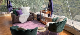 FéLIZA Rainforest Domes