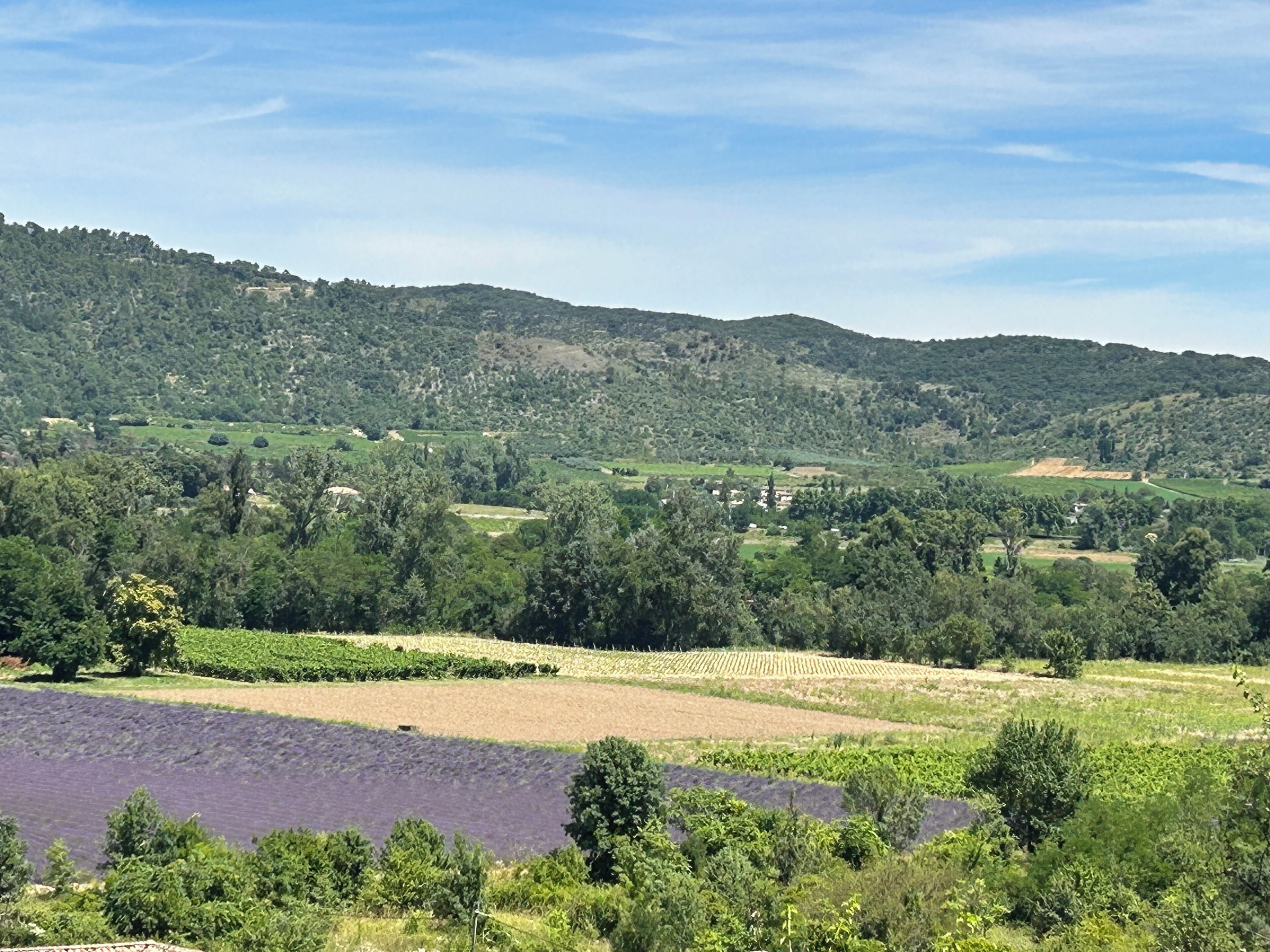 Paisagem rural com colinas onduladas, campos e um corpo d'água.