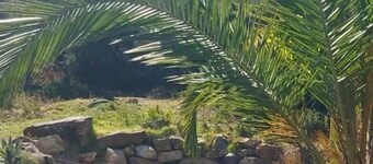 Villa La Rosa Tarifa Nature and beach In the heart of the Natural Park