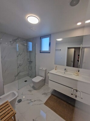 Shower, hair dryer, bidet, towels