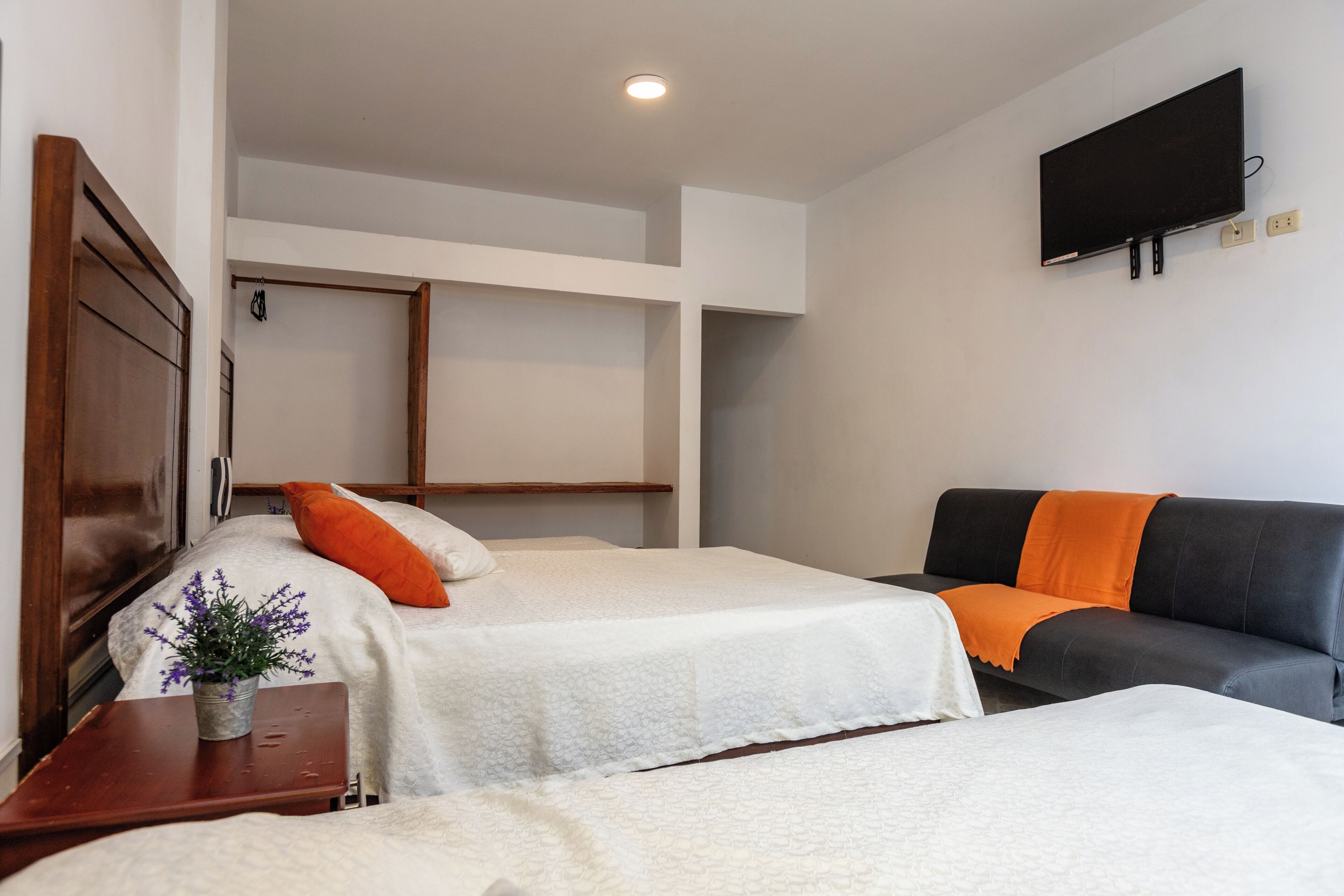 Habitación de hotel con dos camas, un sofá, un televisor montado en la pared y una pequeña mesa con una planta.