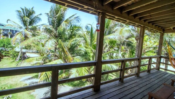 A wooden deck with a railing overlooking a garden with palm trees.